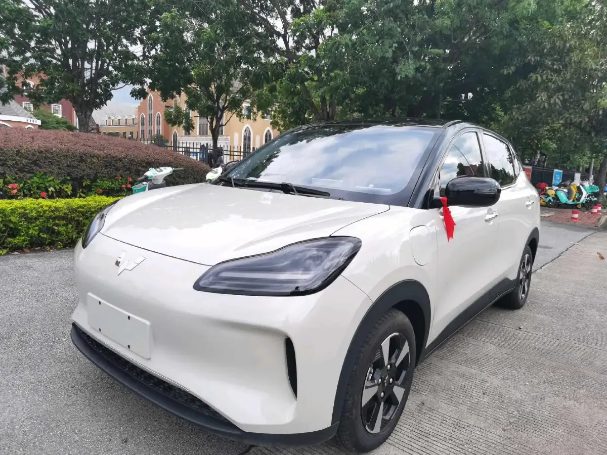 2024 WuLing BinGuoPLUS BEV 37.9KWH