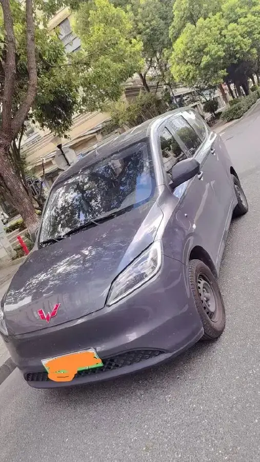 2024 WuLing HongGuang New Energy BEV 32.6KWH