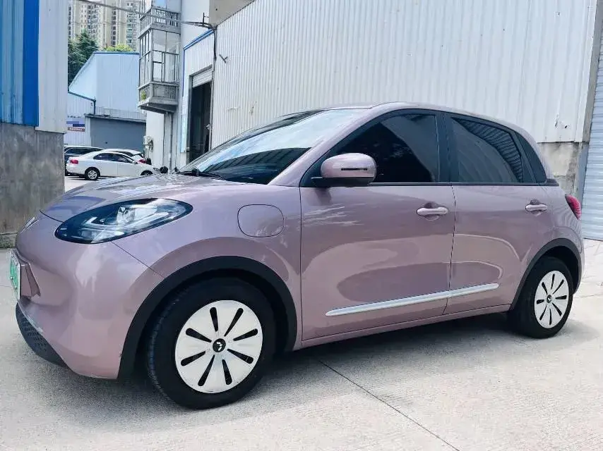 2023 WuLing BinGuo BEV 31.9KWH