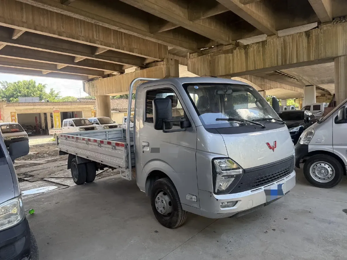 2023 WuLing Loong Truck 2.0L 136HP L4 5MT,autocango,china used car exporter,china ev exporter,chinese used car exporter,chinese used ev exporter