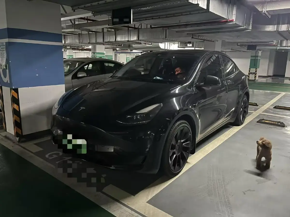 2022 Tesla Model Y BEV 60KWH