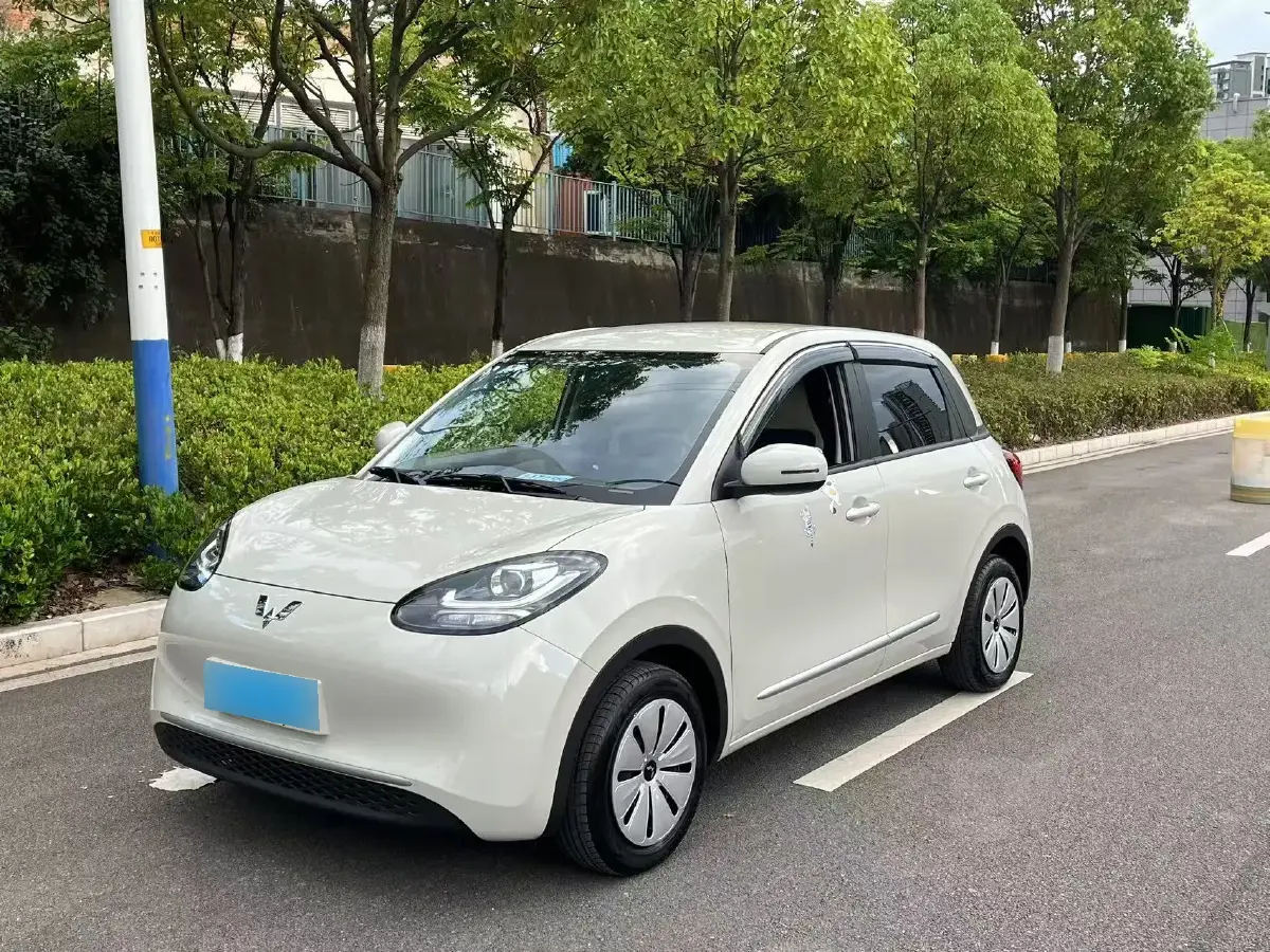 2023 WuLing BinGuo BEV 17.3KWH