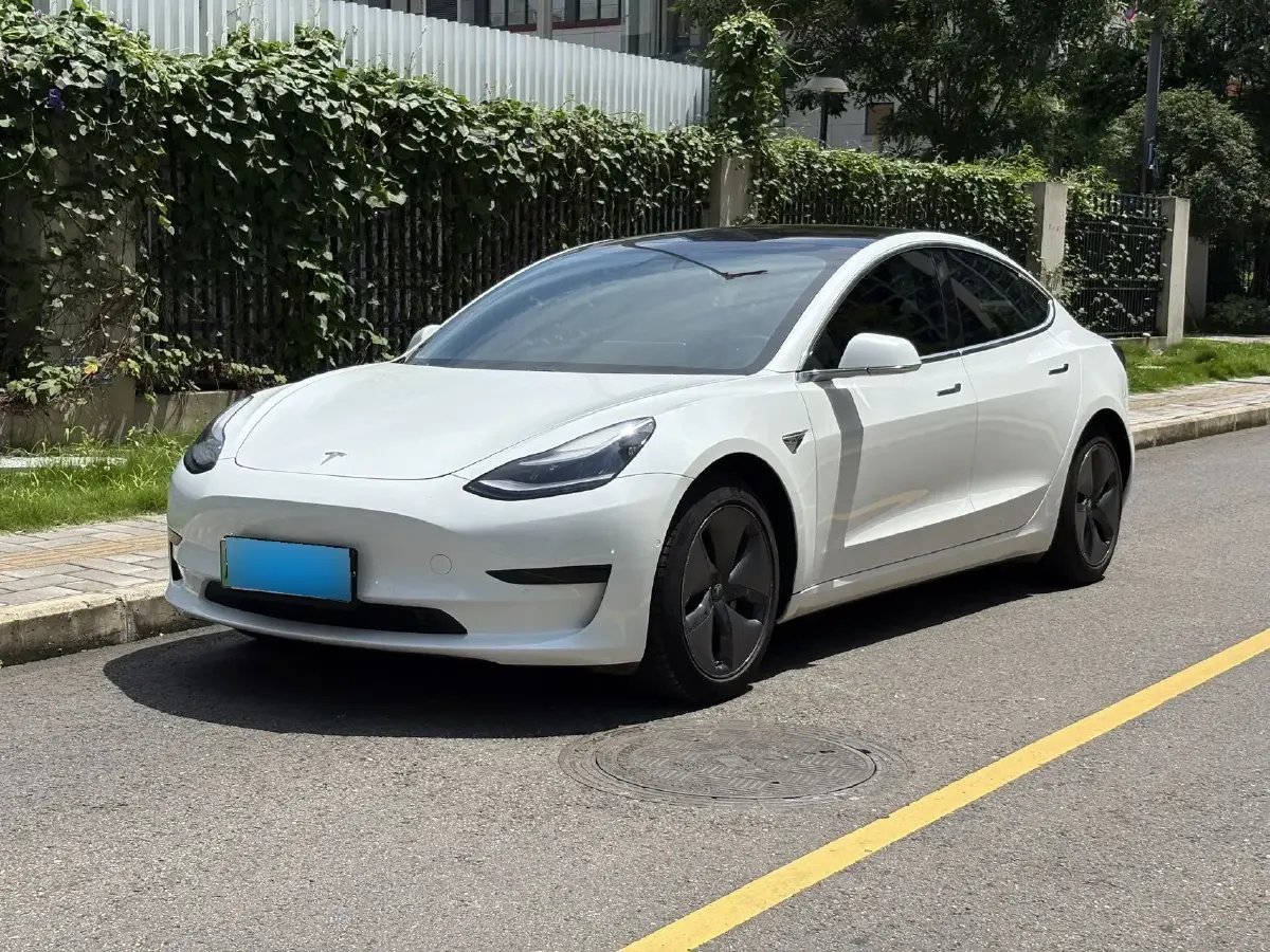 2019 Tesla Model 3 BEV 52KWH