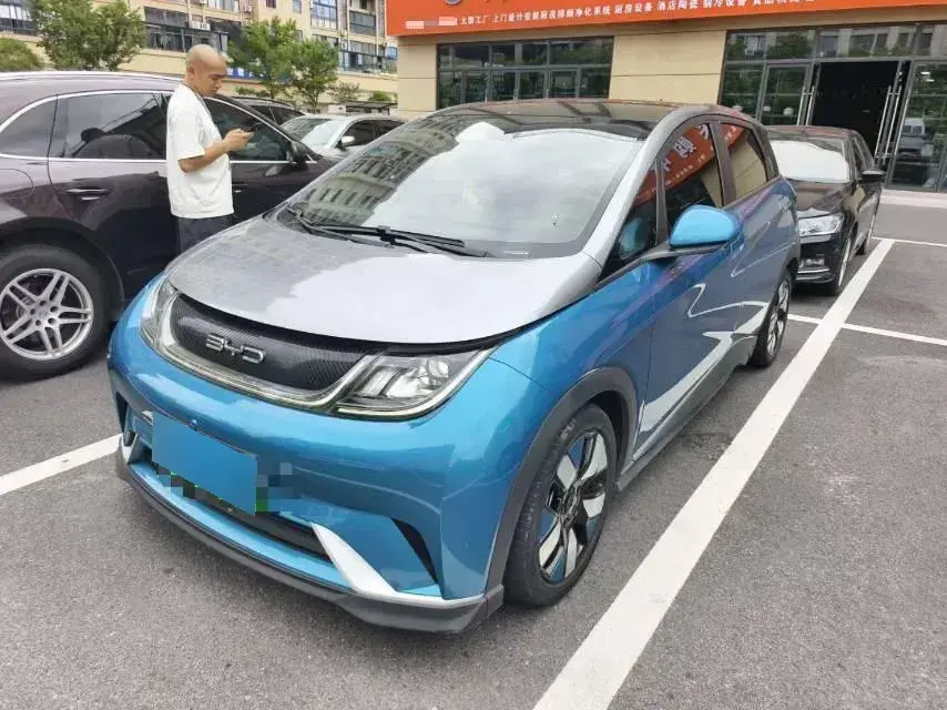 2021 BYD Dolphin BEV 44.9KWH