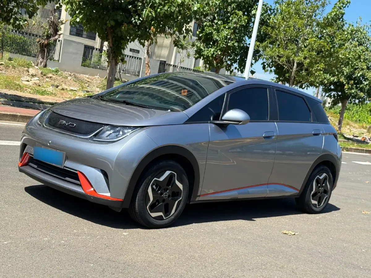 2021 BYD Dolphin BEV 44.9KWH
