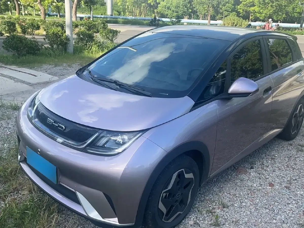 2021 BYD Dolphin BEV 44.9KWH