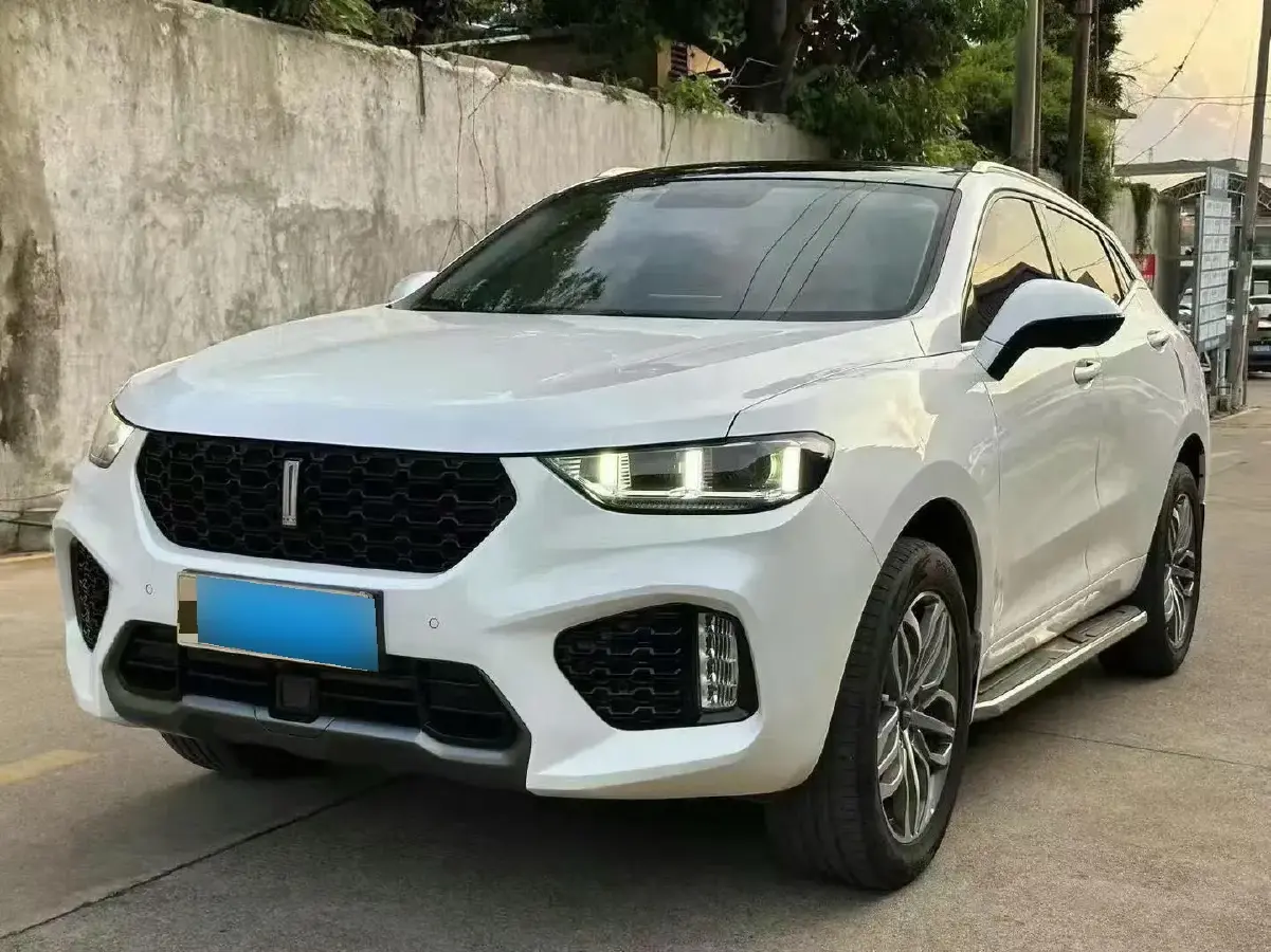 2019 WEY VV5 2.0T 224HP L4 7DCT