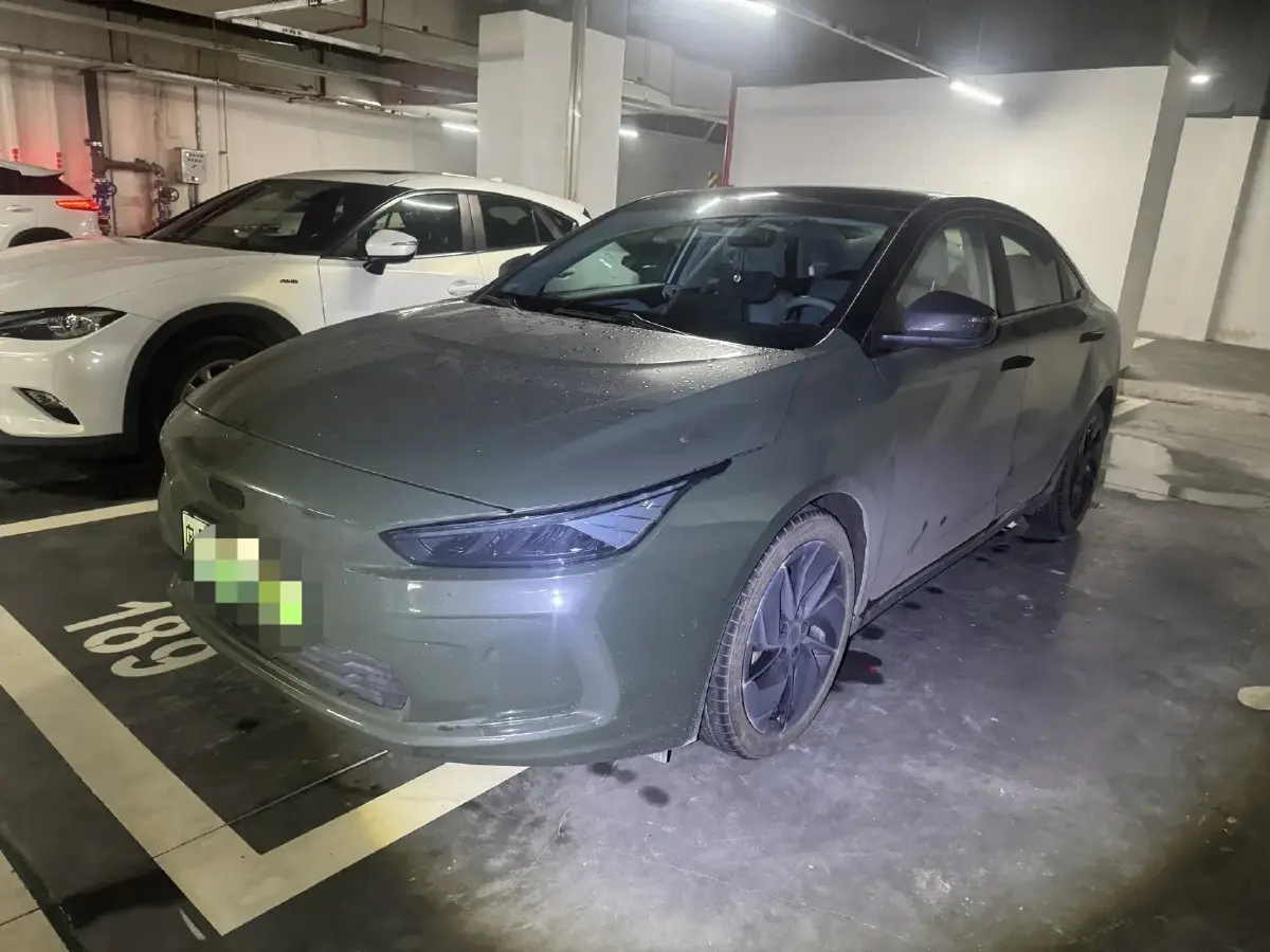 2019 Geometry A BEV 51.9KWH