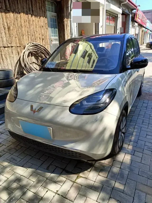 2025 WuLing BinGuo BEV