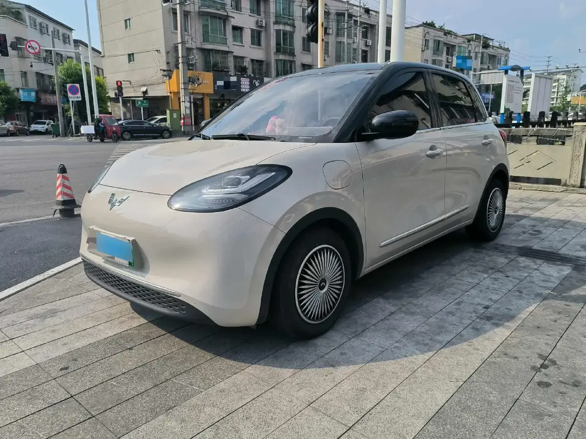 2024 WuLing BinGuo BEV 31.9KWH
