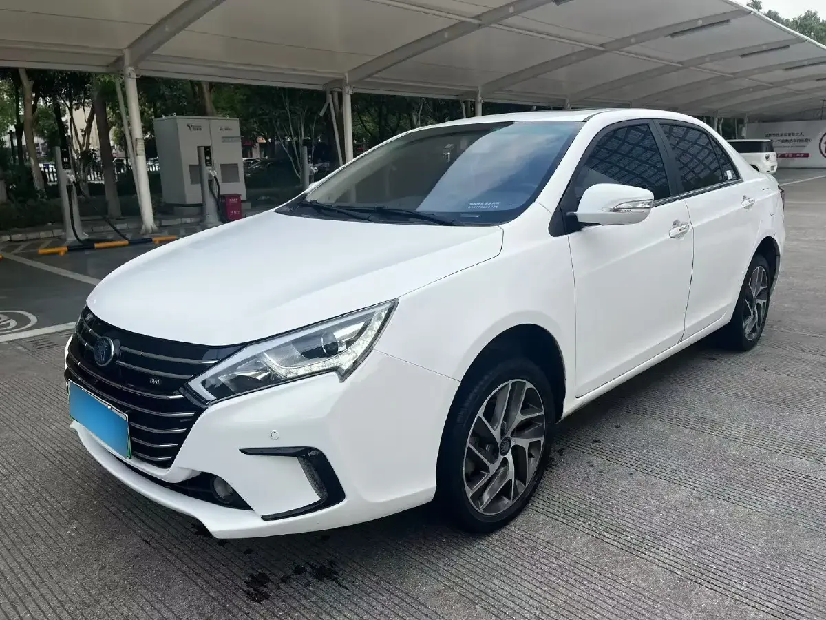 2019 BYD Qin Pro BEV 56.4KWH