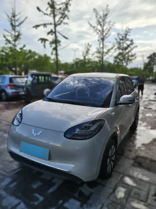 2024 WuLing BinGuo BEV 31.9KWH