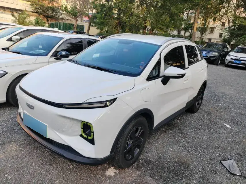 2022 Geometry E BEV 33.5KWH