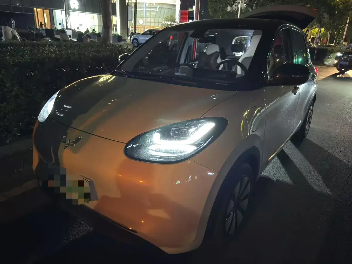 2023 WuLing BinGuo BEV 31.9KWH