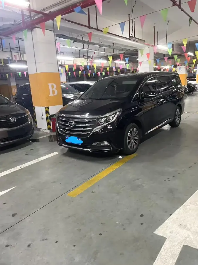 2020 GAC Trumpchi GS8 2.0T 252HP L4 6AT