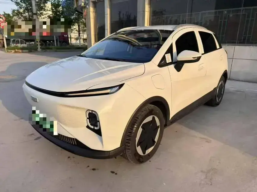 2024 Geometry E BEV 29.67KWH