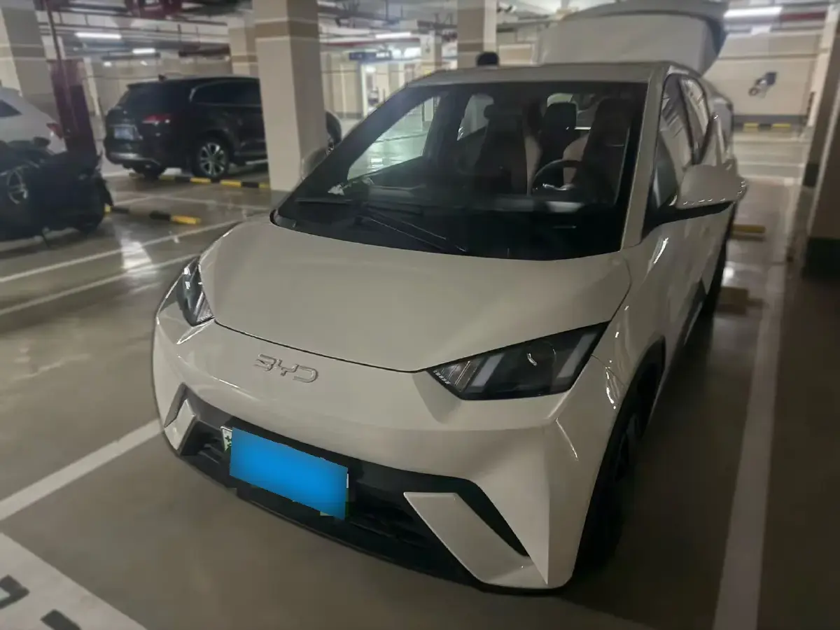 2024 BYD Seagull BEV 30.08KWH