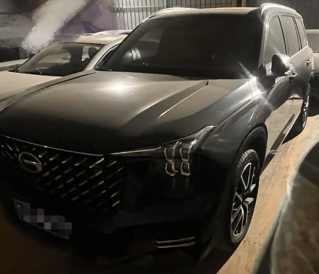 2024 GAC Trumpchi GS8 2.0T 252HP L4 8AT