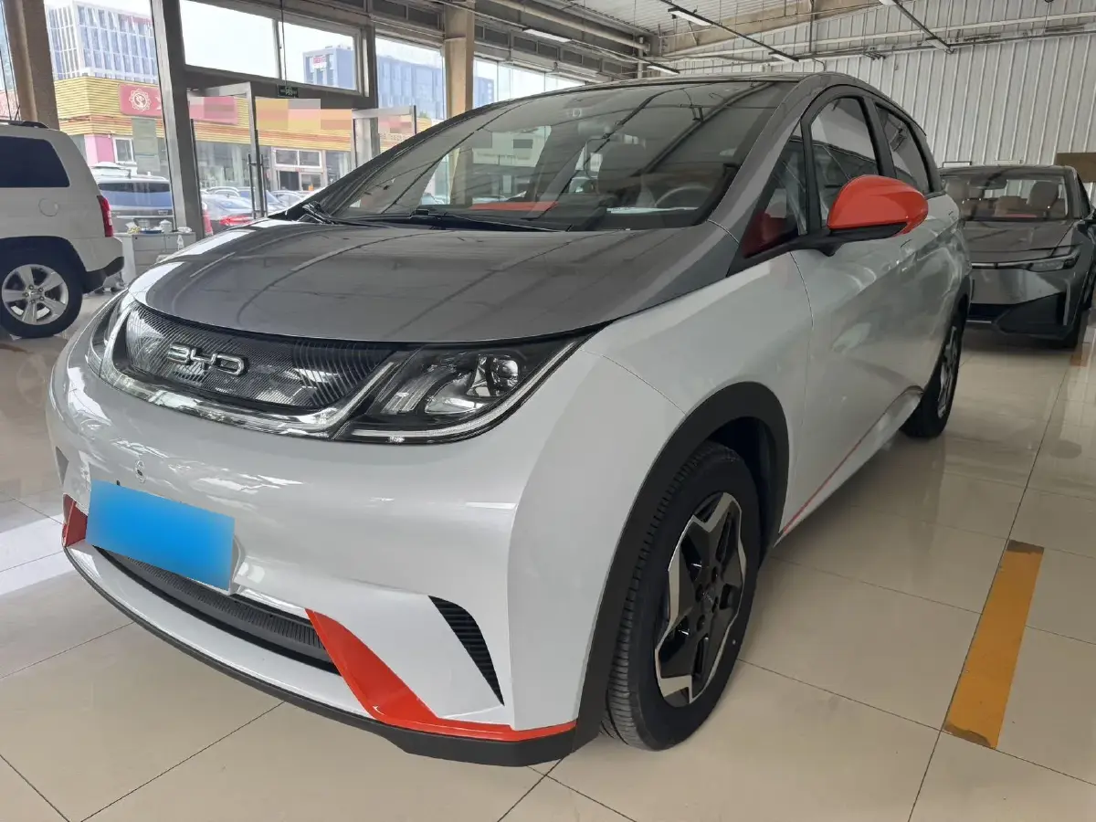 2021 BYD Dolphin BEV 44.9KWH