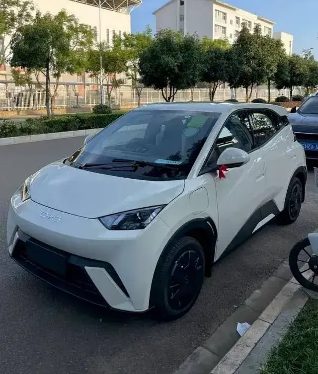 2025 BYD Seagull BEV 30.08KWH