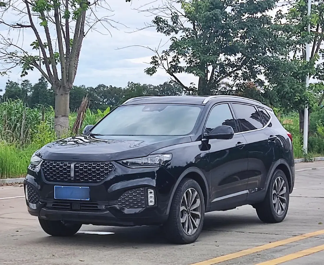 2021 WEY VV6 2.0T 227HP L4 7DCT 2021 WEY VV6 2.0T 227HP L4 7DCT