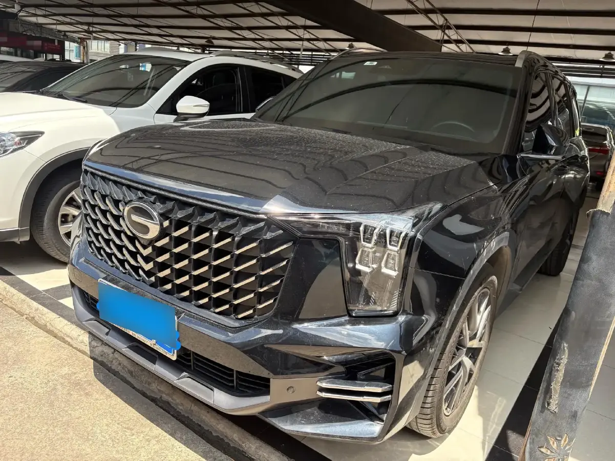 2022 GAC Trumpchi GS8 2.0T 252HP L4 8AT