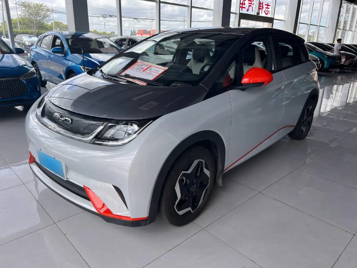 2021 BYD Dolphin BEV 44.9KWH
