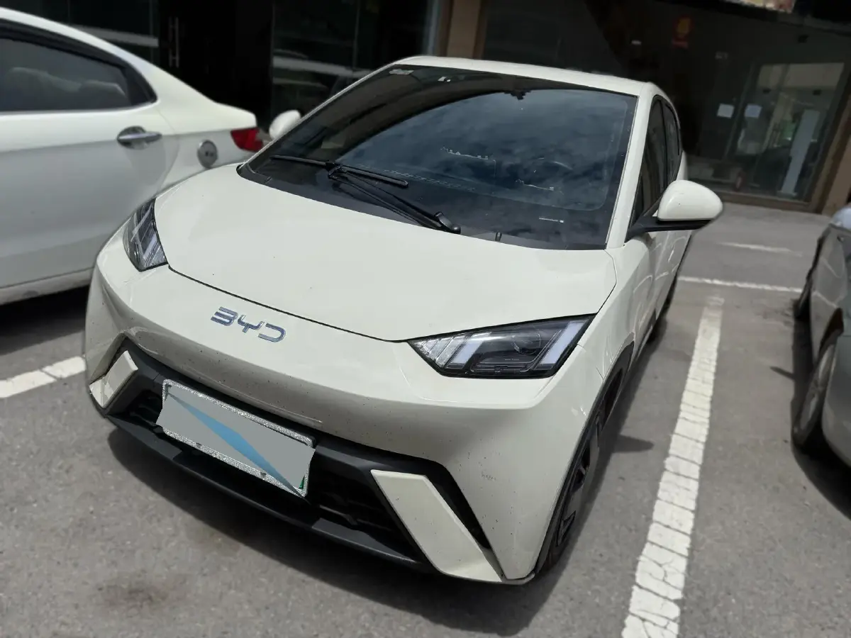 2024 BYD Seagull BEV 30.08KWH