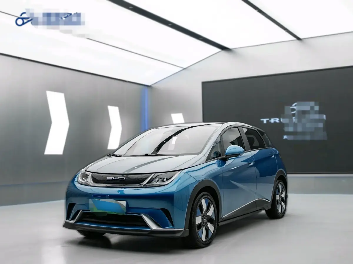 2021 BYD Dolphin BEV 44.9KWH