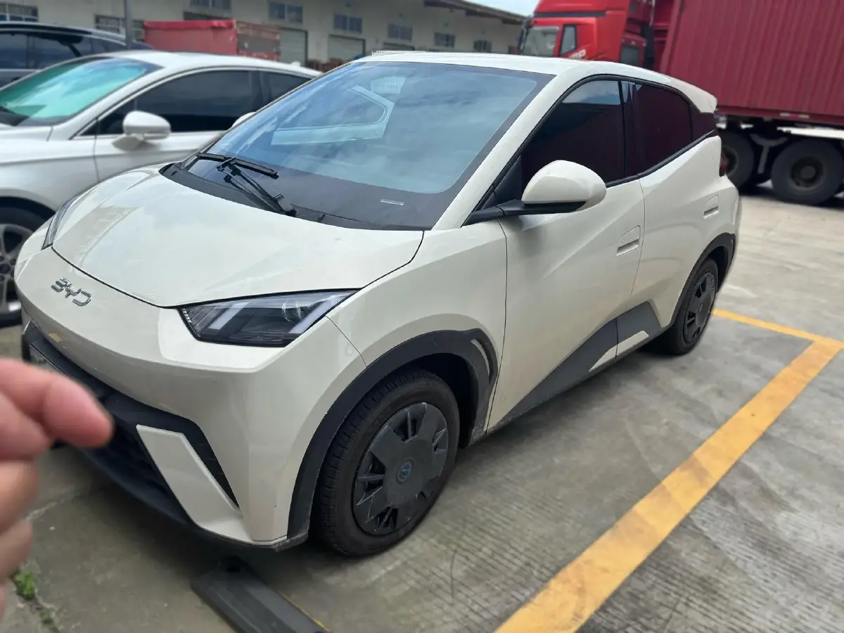 2024 BYD Seagull BEV 30.08KWH