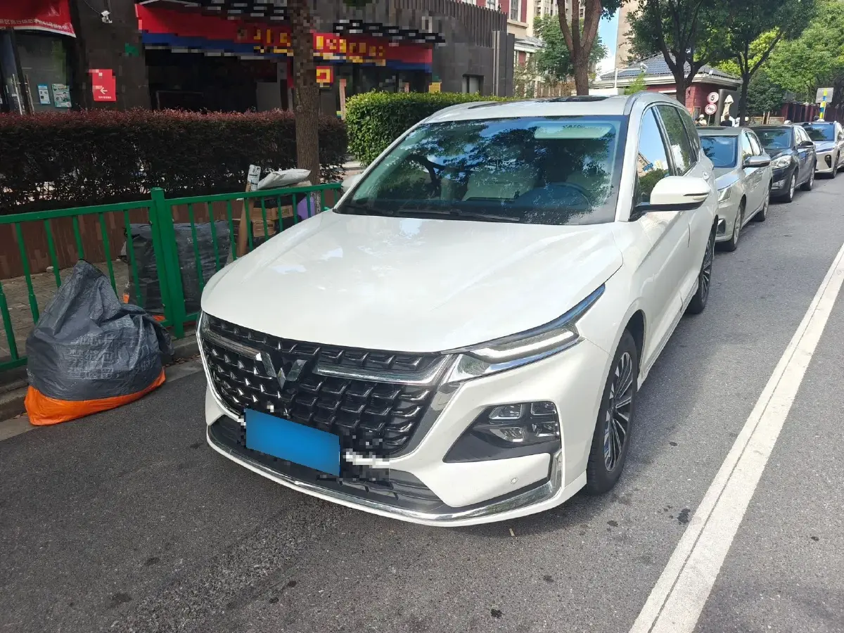 2023 WuLing KaiJie 2.0L 136HP L4 1DHT Hybrid