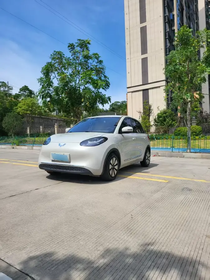 2023 WuLing BinGuo BEV 31.9KWH