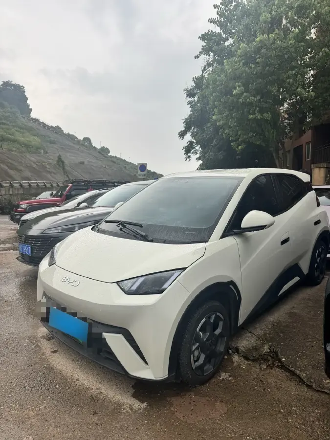 2025 BYD Seagull BEV 38.88KWH