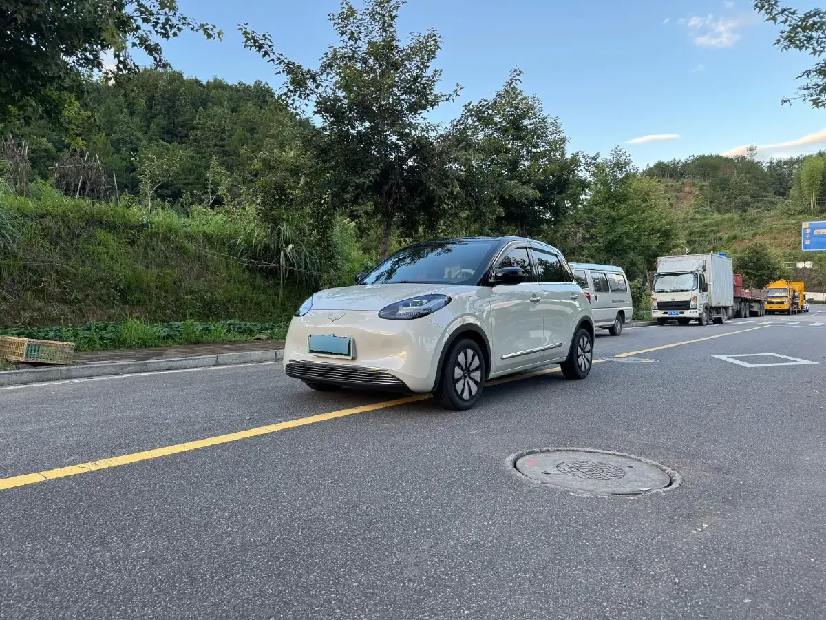 2023 WuLing BinGuo BEV 37.9KWH