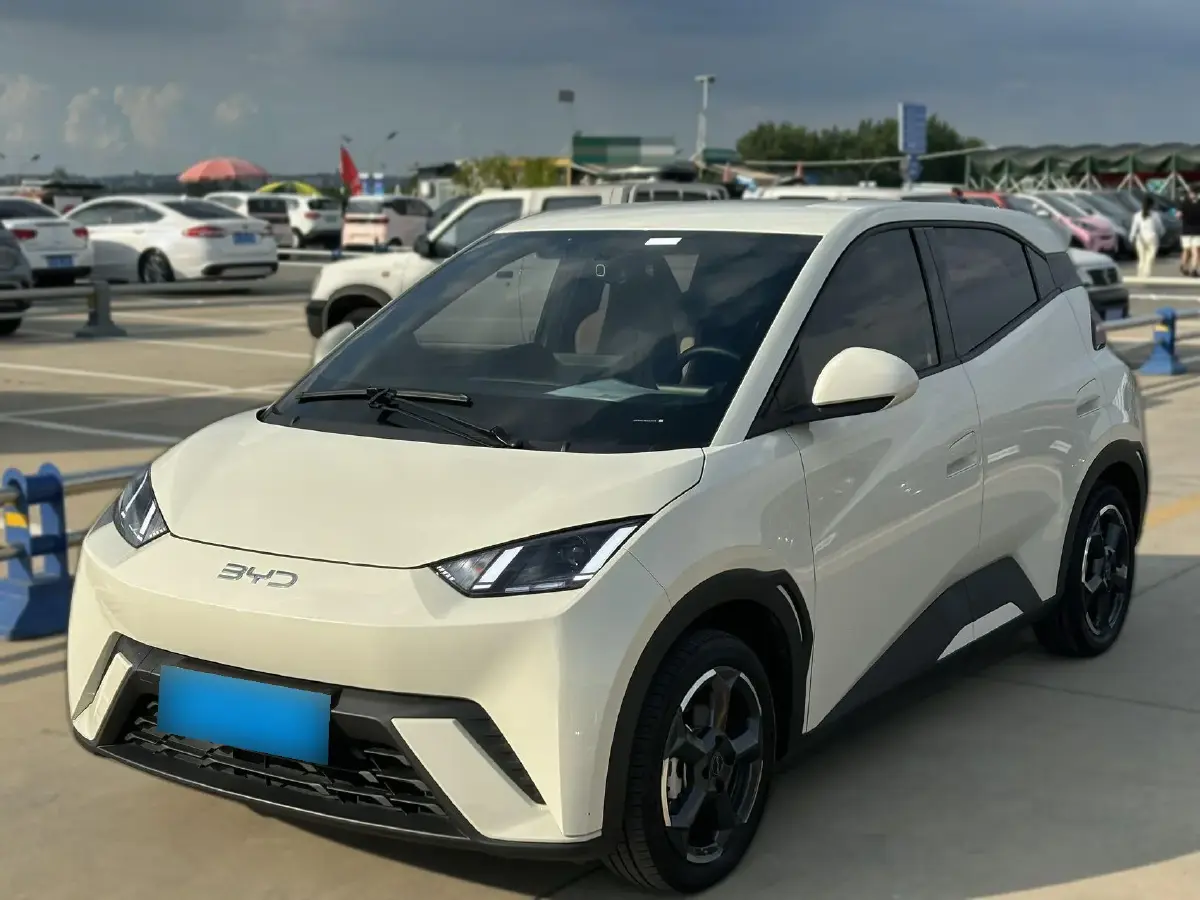 2024 BYD Seagull BEV 30.08KWH
