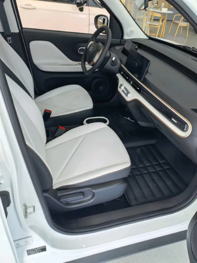 2025 Chery Duomi BEV,autocango,china used car exporter,china ev exporter,chinese used car exporter,chinese used ev exporter