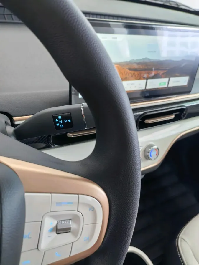 2025 Chery Duomi BEV,autocango,china used car exporter,china ev exporter,chinese used car exporter,chinese used ev exporter