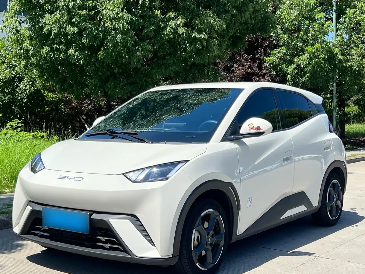 2023 BYD Seagull BEV 38.88KWH