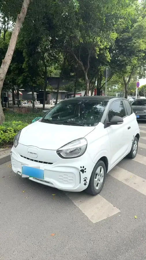 2021 Roewe Clever BEV 29.13KWH