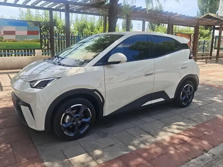 2024 BYD Seagull BEV 30.08KWH