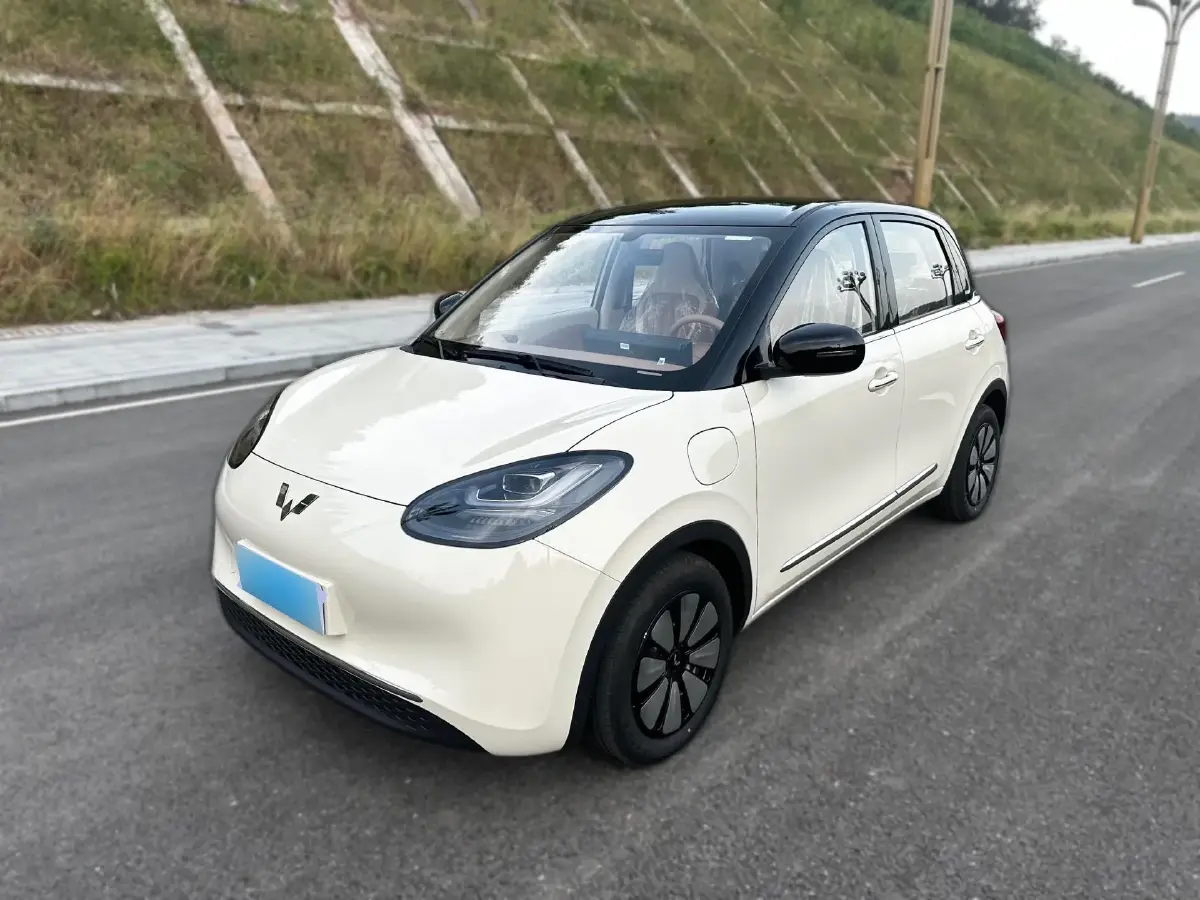 2025 WuLing BinGuo BEV