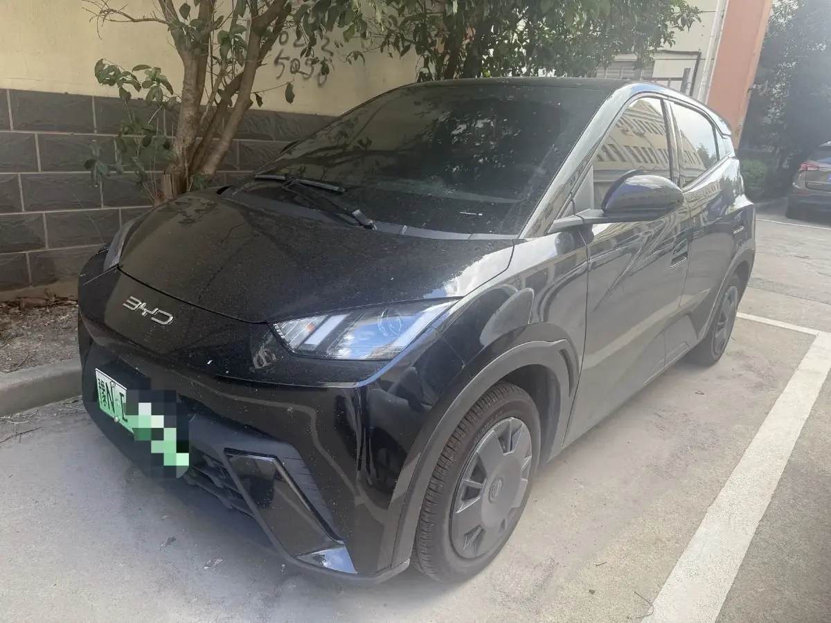 2025 BYD Seagull BEV 30.08KWH