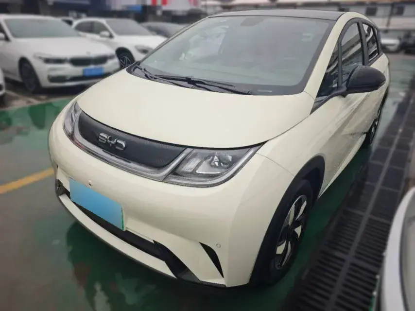 2024 BYD Dolphin BEV 44.928KWH