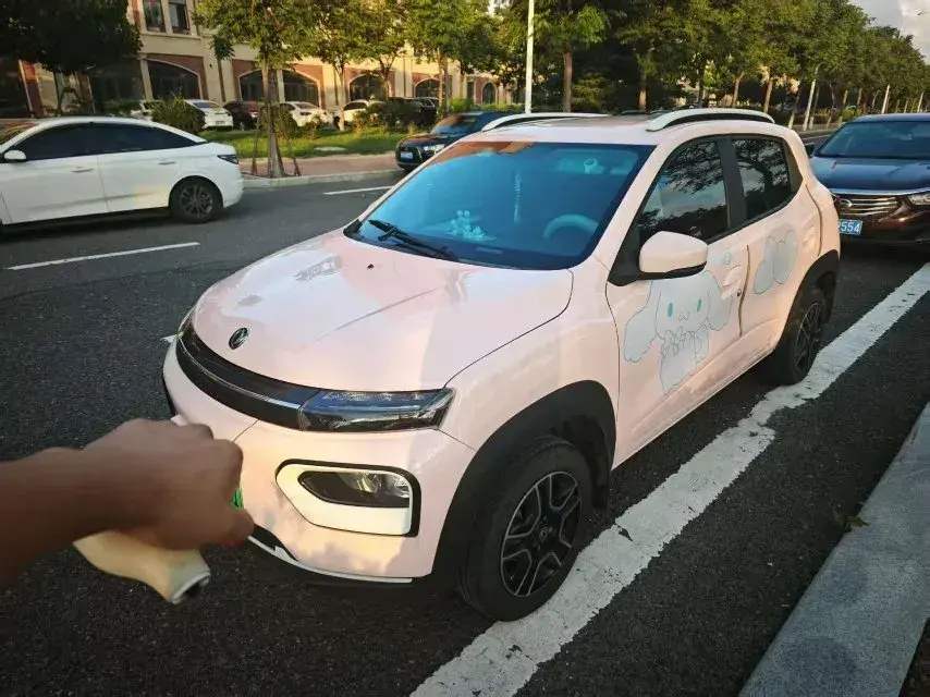 2022 DongFeng Nammi BOX BEV 27.17KWH