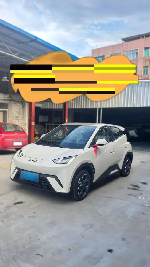 2024 BYD Seagull BEV 38.88KWH