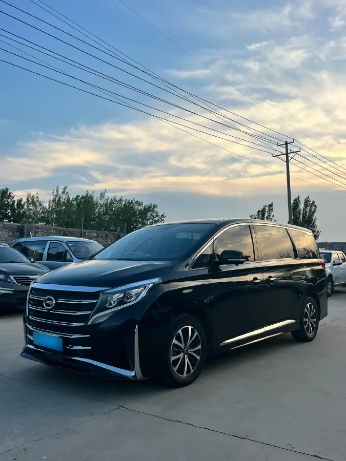 2021 GAC Trumpchi M8 2.0T 252HP L4 8AT