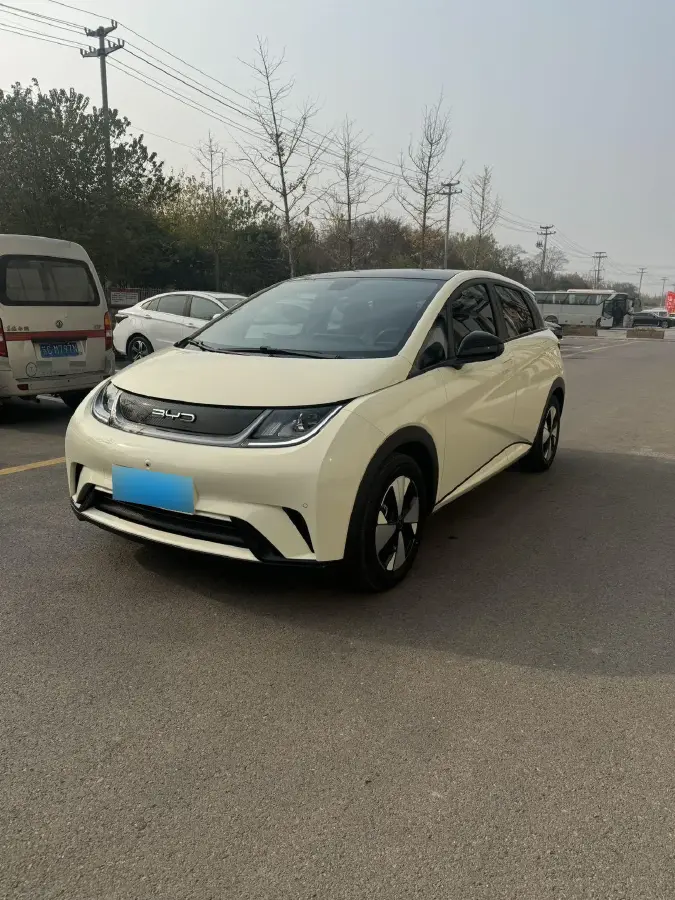 2023 BYD Dolphin BEV 44.928KWH