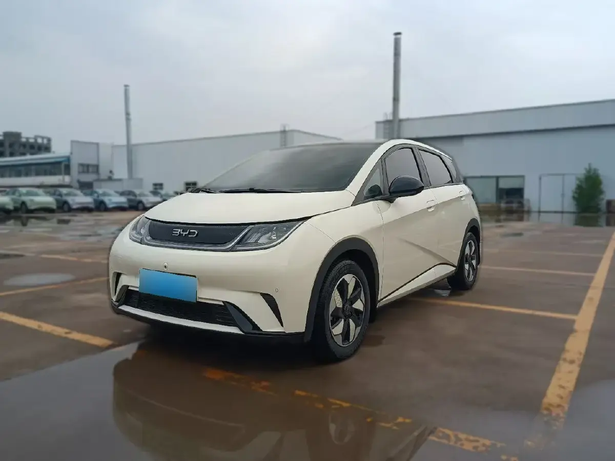 2024 BYD Dolphin BEV 44.928KWH