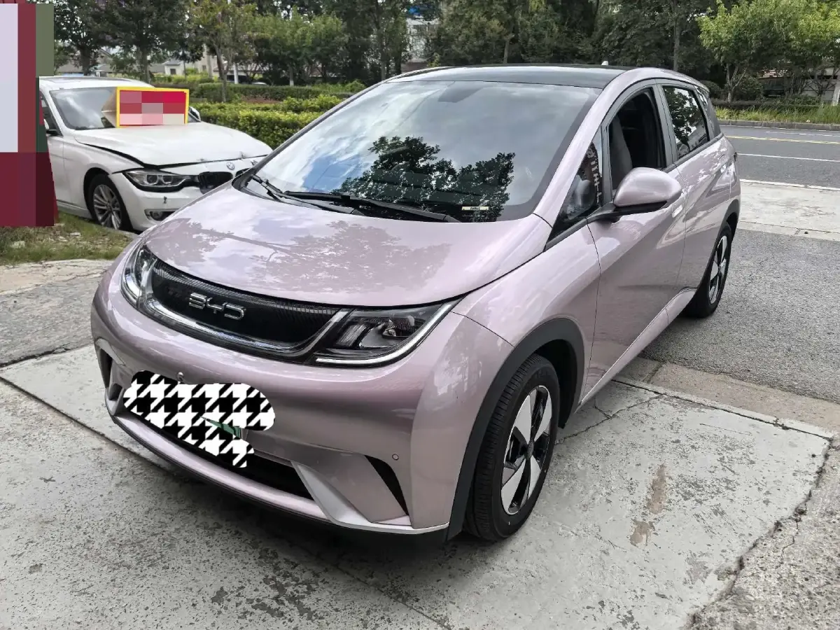 2021 BYD Dolphin BEV 44.9KWH