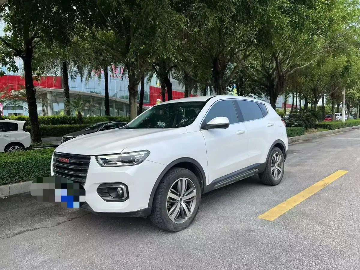2019 Haval H6 1.5T 169HP L4 7DCT